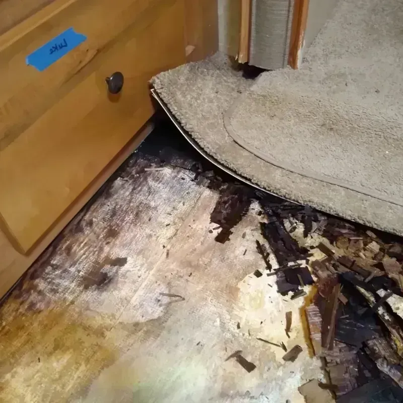 Wood Floor Water Damage in Solon, OH